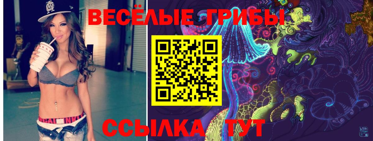 Галлюциногенные грибы Psilocybine cubensis  Вход с VPN  Лесосибирск 